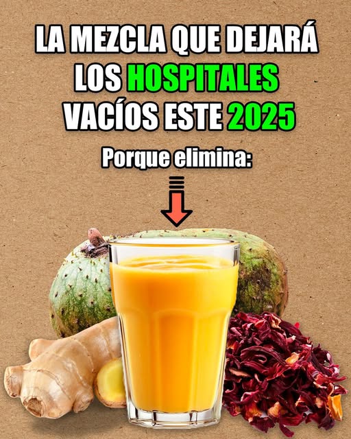 Refresca y protege tu cuerpo con el té de jamaica y jengibre